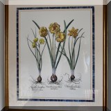 A18. Framed botanical. 